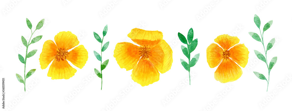 Watercolor clipart, yellow banner, summer flowers on a white background. Illustration for design, cards, business cards, wedding invitations, fabric, wrapping paper. Watercolor clipart, yellow banner, summer flowers on a white background. Illustration for design, cards, business cards, wedding invitations, fabric, wrapping paper.