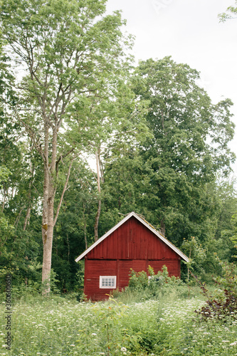 Typical red house in Sweden, surrounded by lush green nature, summer in Sweden