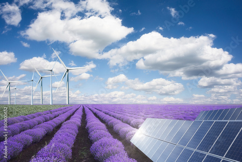 Green energy or renewables concept with purple lavender field wind turbines an solar panels on a hot summer day photo