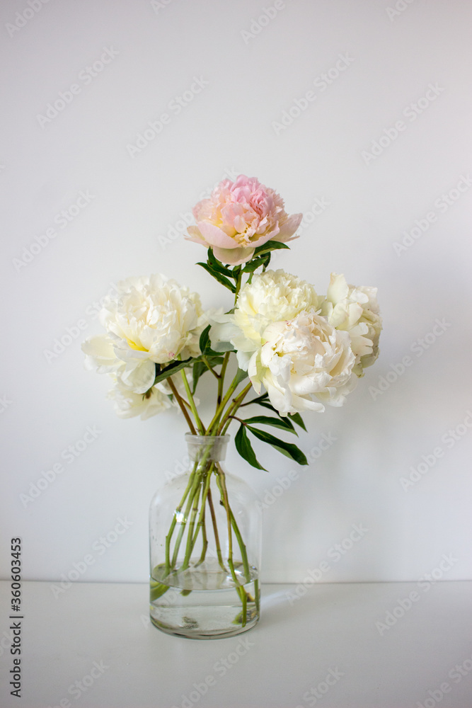 Fototapeta premium bouquet of white and pink peonies