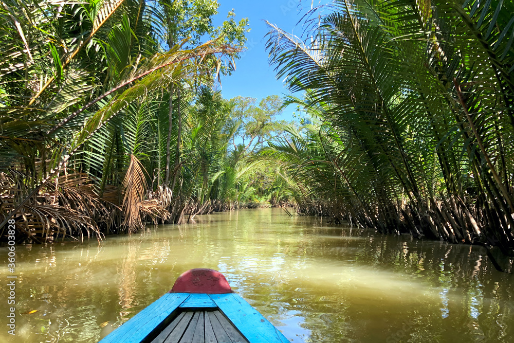 Ταπετσαρία The canals in the Mekong Delta are surrounded by jungles and mangroves