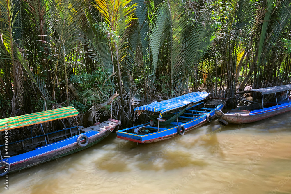 Φωτογραφία The canals in the Mekong Delta are surrounded by jungles and mangroves