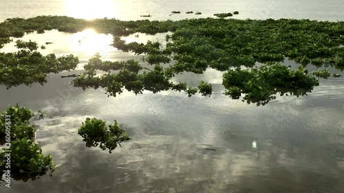 morning mist over the river