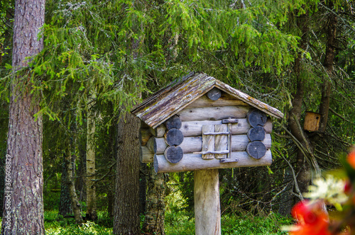 wooden log bird house in the forest