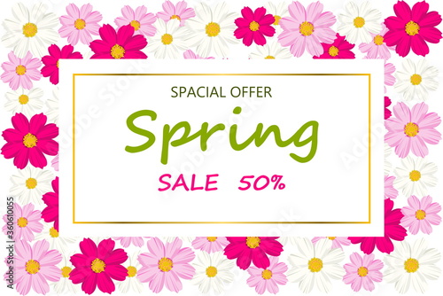 Spring sale background with blooming cosmos colorful flower. Illustration template, banners. Wallpaper, flyers, invitation, posters, brochure, voucher discount. © nirin