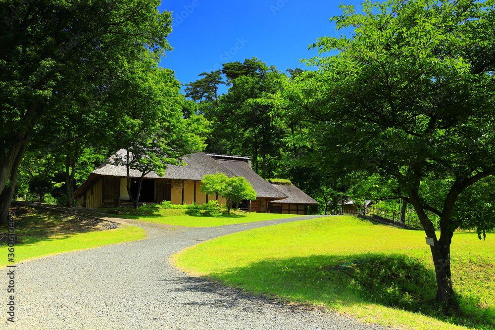 Naklejka premium 初夏の里山の風景