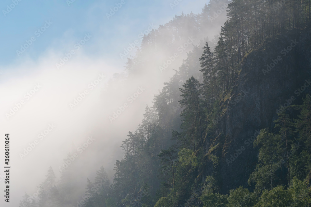 Morning mist on the mountain forest.