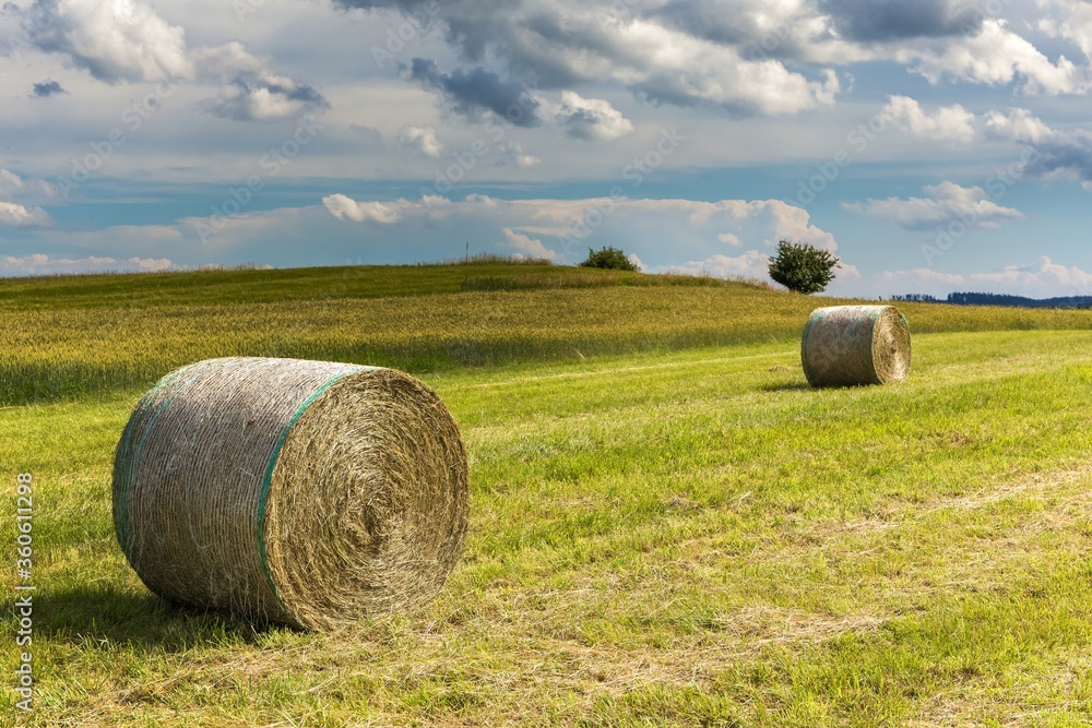 Haystack agriculture field landscape. Agriculture field hay stacks.Mown meadow with blue sky and clouds. Agricultural landscape in the Czech Republic.