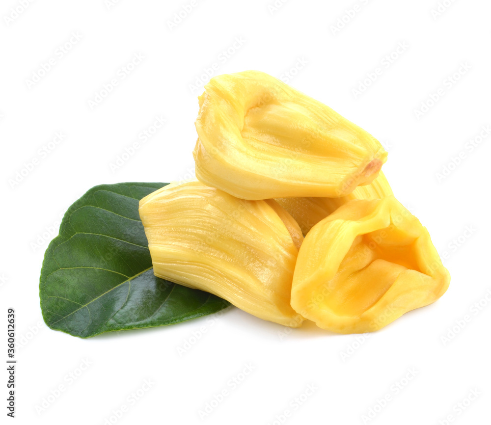 section of jackfruit isolated on white background section of jackfruit isolated on white background