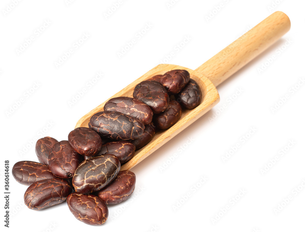 Fototapeta premium dried cocoa beans in the wooden spoon, isolated on white background