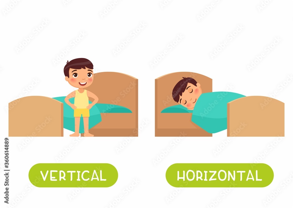 Opposites concept, HORIZONTAL and VERTICAL. Word card for language
