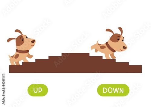 Opposites concept, UP and DOWN. Word card for language learning. Cute puppy rises up the stairs, runs down.  Flashcard with antonyms for children vector template. Flat illustration with typography.