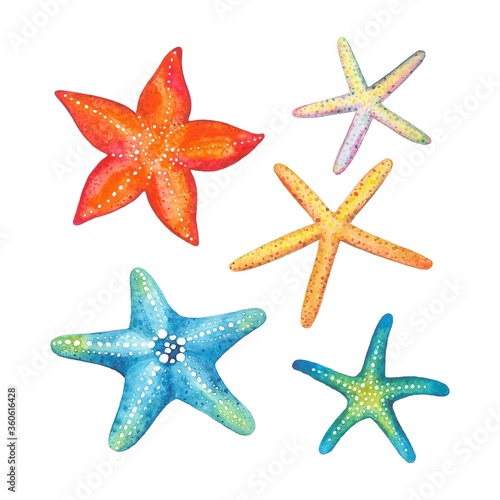 Fototapeta Starfishes set,  watercolor vector illustration