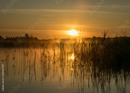 Foggy weather early in the morning on the lake. beautiful wallpapers. a mystical mist vibrates in the lake. summer sunrise