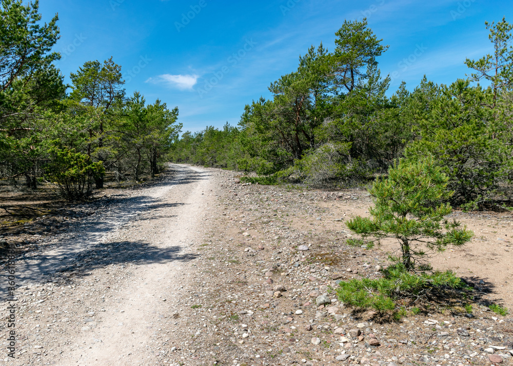 summer landscape with a traditional view from the Harilaiu peninsula on Saaremaa, Estonia summer landscape with a traditional view from the Harilaiu peninsula on Saaremaa, Estonia
