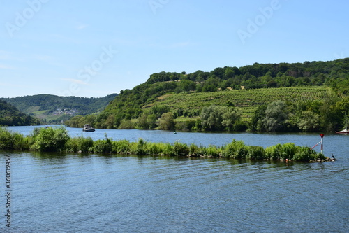 ruhige blaue Mosel bei Brodenbach photo