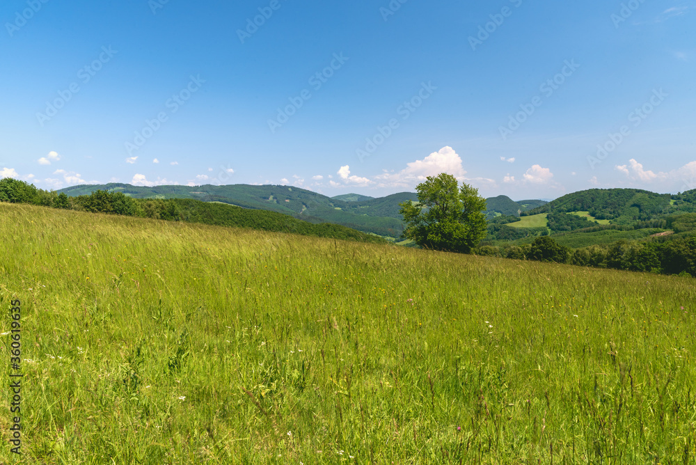 Beautiful Biele Karpaty mountains with hills coveted by mix of meadows and forest in Slovakia near Vrsatske Podhradie village