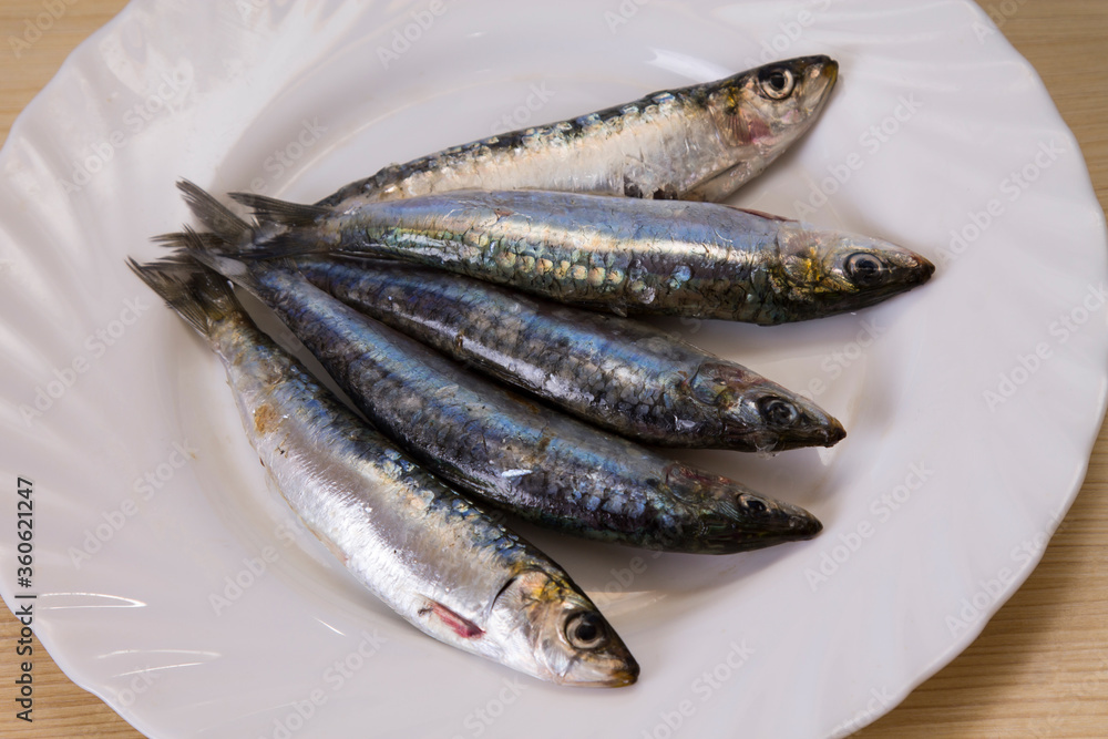 fish, fresh sardines on the plate fish, fresh sardines on the plate