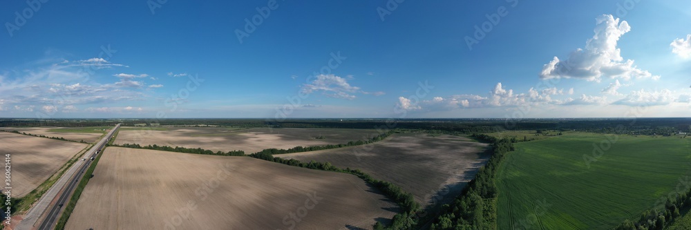 panorama of living fields against a cloudy sky