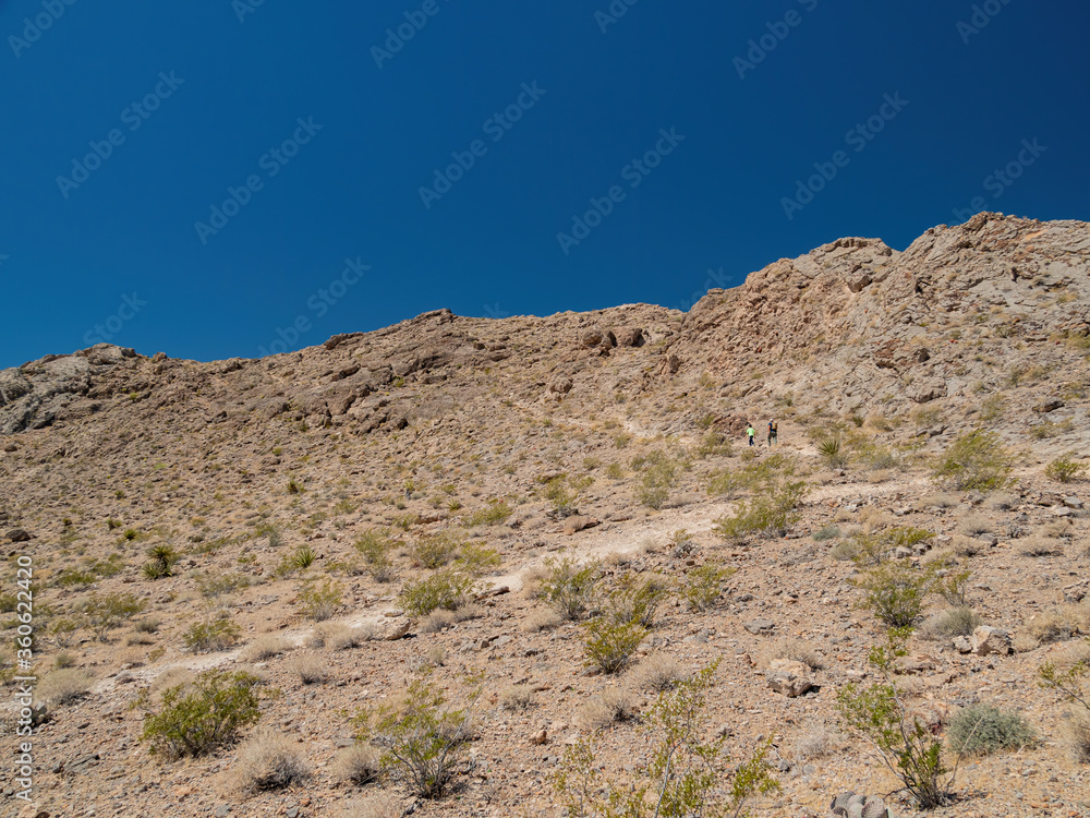 Sunny view of the landsacpe of Lone Mountain Sunny view of the landsacpe of Lone Mountain