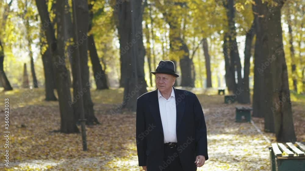 Elegant man walks the paths of autumn, sunny park and looks around Elegant man walks the paths of autumn, sunny park and looks around