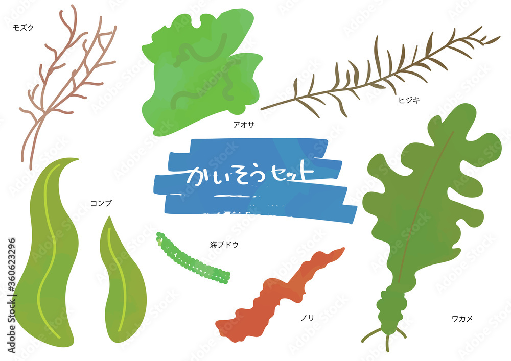 海藻のイラストセット Stock Vector Adobe Stock 海藻のイラストセット Stock Vector Adobe Stock