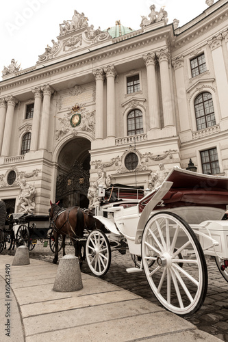 Carroza con Cavallo nella piazza di Alte Hofburg, Vienna, Austria,