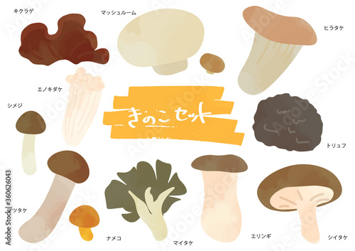 キノコのイラストセット