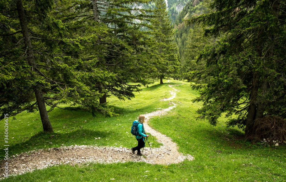 Wanderer auf Wanderweg im Tannheimer Tal / Hiker on trail in the alps Wanderer auf Wanderweg im Tannheimer Tal / Hiker on trail in the alps