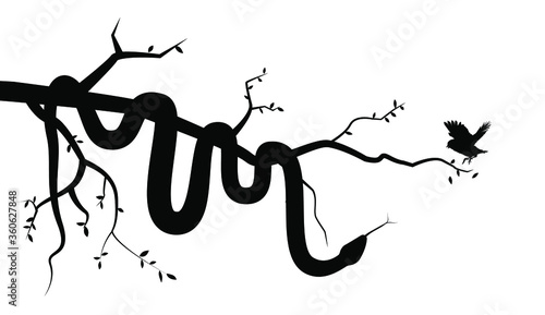 Viper snake silhouette in tree hunting bird