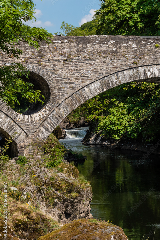 Fototapeta premium River Teifi Cenarth Carmarthenshire Wales