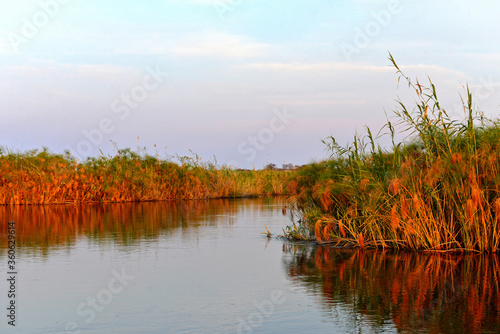 Flussfahrt auf dem Kwando River in de Caprivi Region , Namibia photo