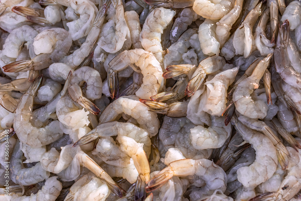 Fresh raw shrimp for seafood ingredient cooking Fresh raw shrimp for seafood ingredient cooking