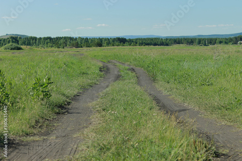 path in the field