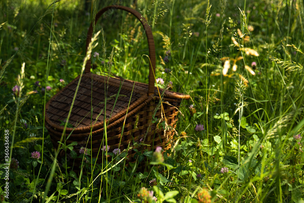 Wicker picnic basket stands in a forest glade among meadow summer grasses. Wicker picnic basket stands in a forest glade among meadow summer grasses.