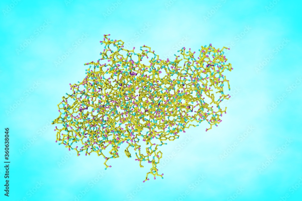 Molecular model of human salivary amylase, a glucosepolymer cleavage