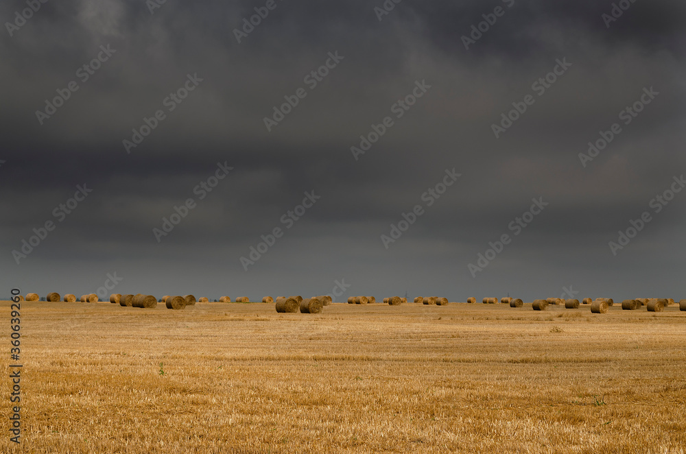 Fototapeta premium Straw bales in the fields of northern Bulgaria