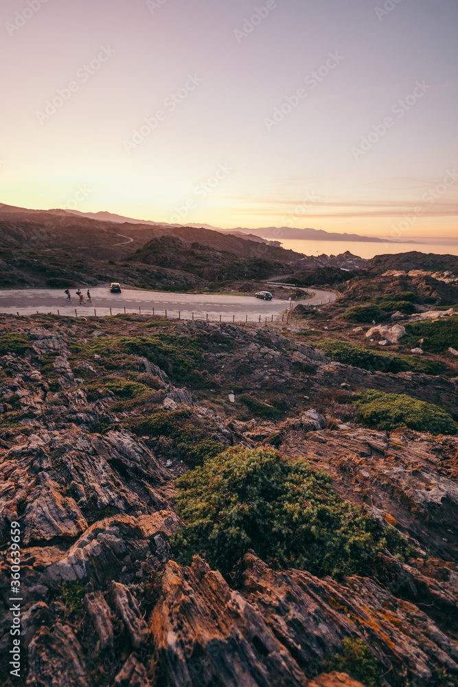 A rocky mountain with trees in the background