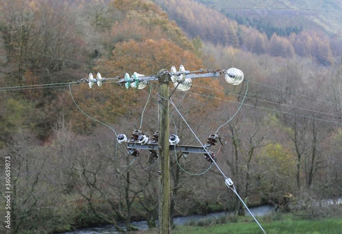 The top half of a wooden electricity pole with clear glass insulators in the Dulas Valley, Wales, U. K.