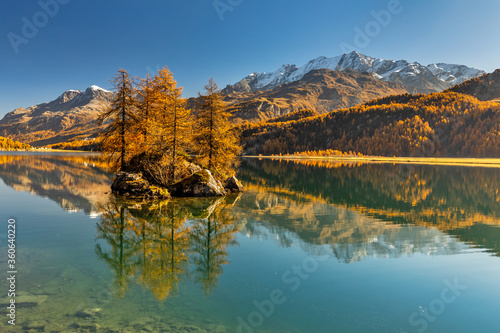 Fototapeta Naklejka Na Ścianę i Meble -  Sils im Engadin uím Herbst in der Schweiz