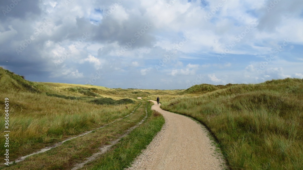the path in the dunes of Vlieland

