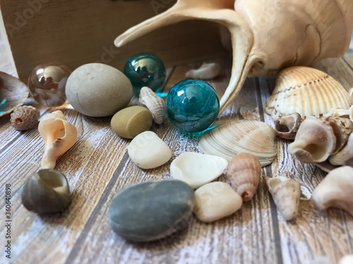 shells and stones