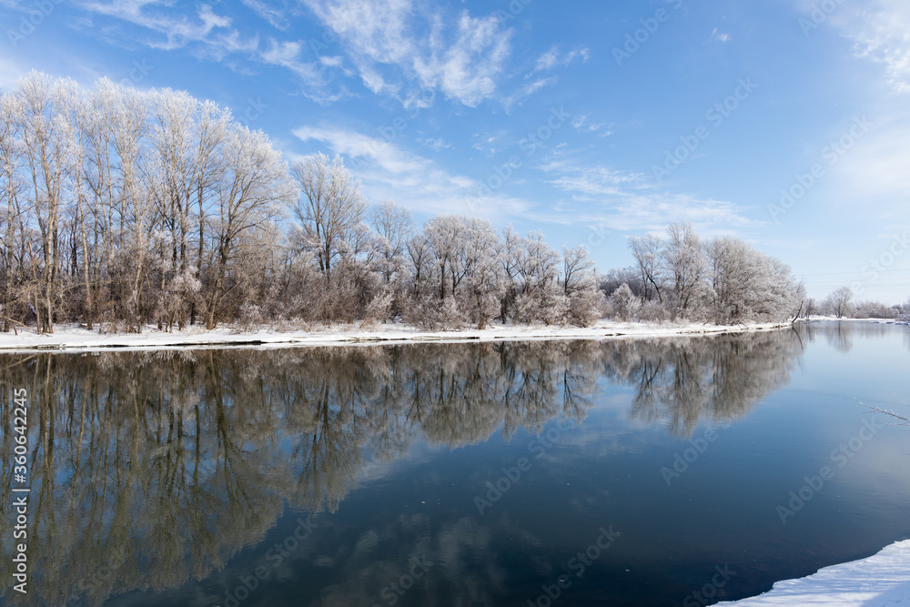 
winter landscape by the river. Trees in hoarfrost, sunny day, blue sky.
