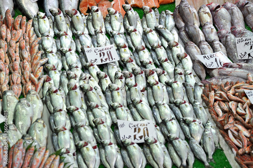 Clean fish are sold fresh at fish market, fresh various fish for sale photo