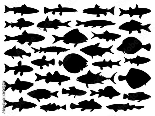 River and sea fish collection - vector icon silhouette illustration