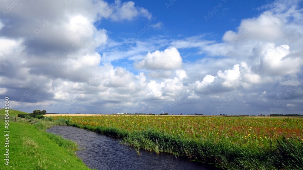 endless Dutch landscapes - who says clouds are ugly ??

