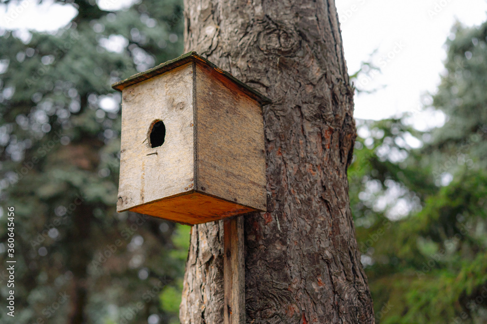 Birdhouse for birds mounted on a tree