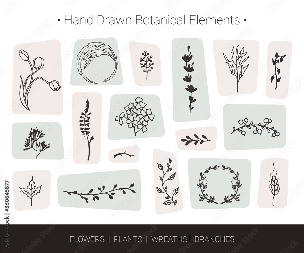 Botanical vector design elements. Hand drawn vector silhouettes of flowers, herbs, wreaths, tree branches. Logo design, wedding invitation, greeting card decor, fashion textile and floral prints. Botanical vector design elements. Hand drawn vector silhouettes of flowers, herbs, wreaths, tree branches. Logo design, wedding invitation, greeting card decor, fashion textile and floral prints.