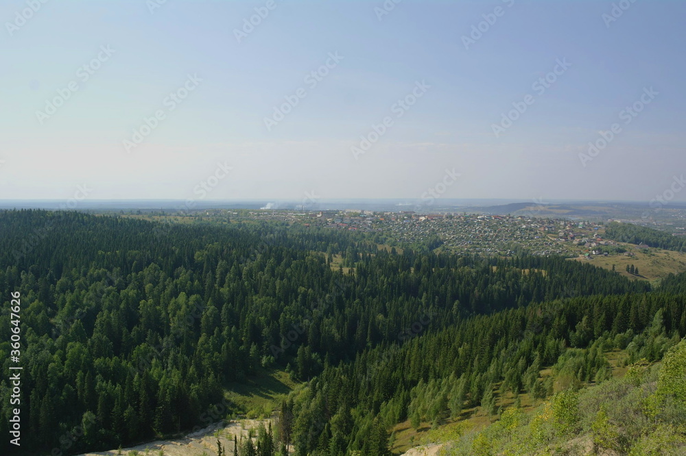 Naklejka premium forest in the morning