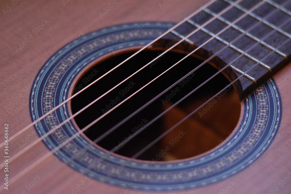 strings and rose guitar